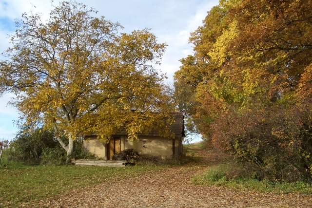 Der Herbst und die Vergänglichkeit