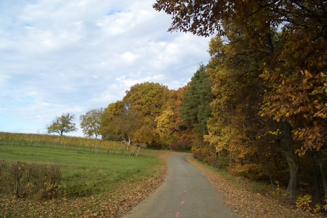 Herbststimmung im PInkatal