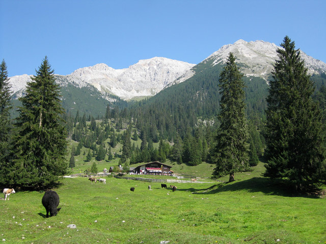 Das Gaistal ist eine echte Idylle. | Foto: Zoom Tirol