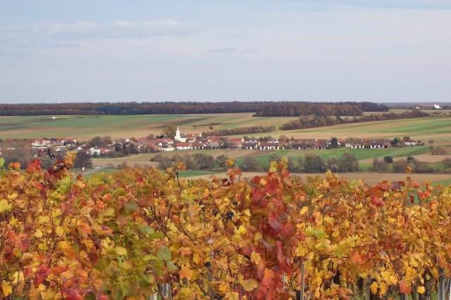 Bildeiner Herbststimmung