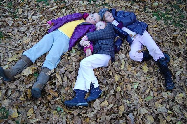 Ein Bett aus Herbstlaub