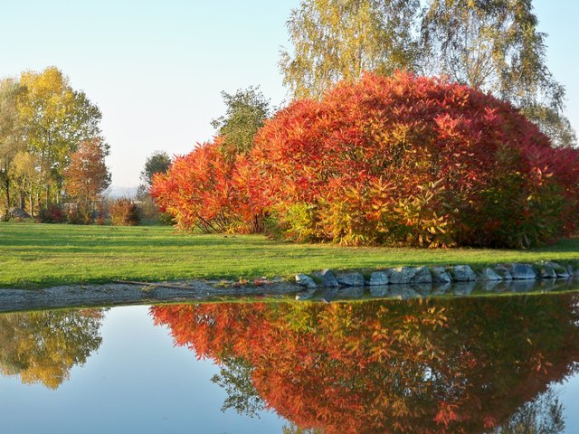 Herbstlicher Feuerball