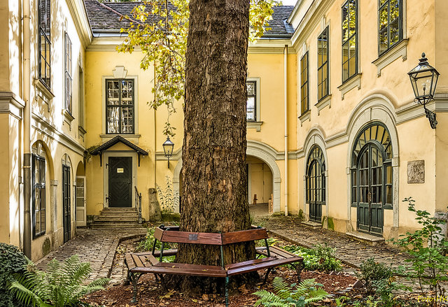 Gartenpalais Schönborn