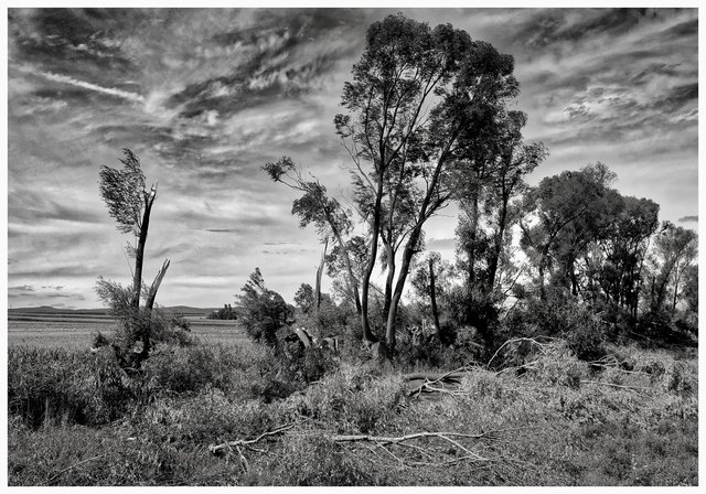 nach dem Gewitter in Hirm