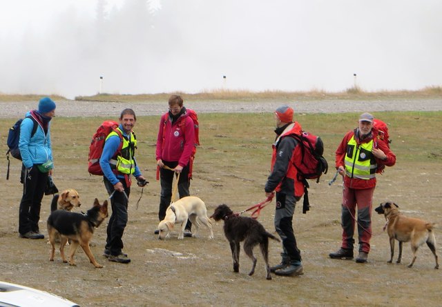 Die Einsatzorganisationen trainieren mit ihren Hunden am Goldeck | Foto: KK/Geiger