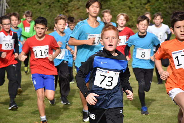 Cross-Country Bezirks-Schulmeisterschaften