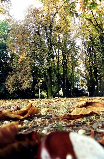 Ein wunderschöner Herbsttag im Schlosspark Halbturn