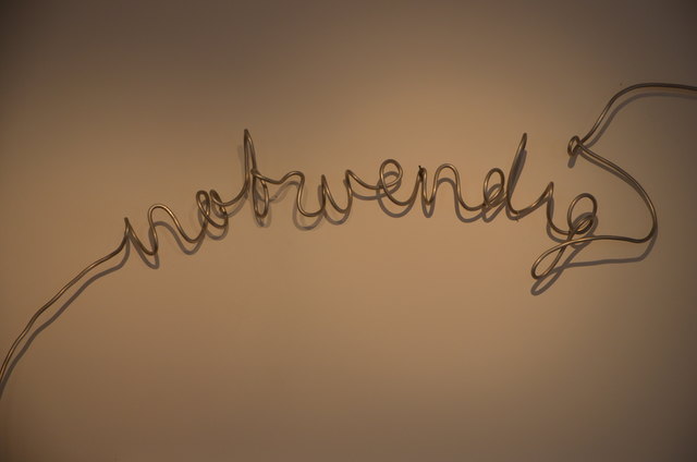 Werke von Charlotte Wiesmann & Thomas Steiner im Stelzhamermuseum | Foto: Ebner