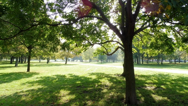 Blick zur Jesuitenwiese.