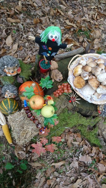 Die schönste Jahreszeit!