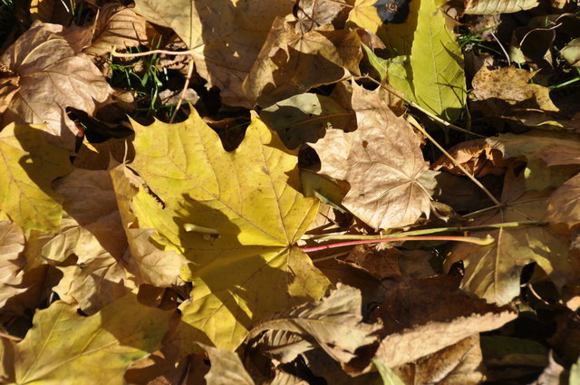 Ein schöner Blick !!
