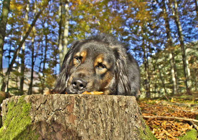 .....es kommt....wie es kommt.....;)