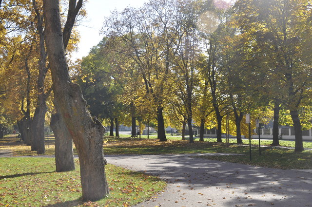Ein schöner Herbst !!!!!!!