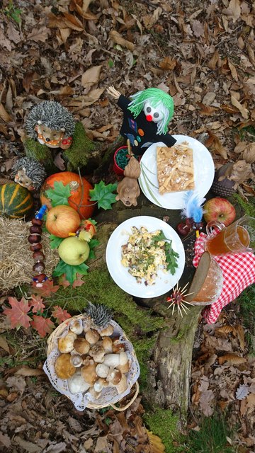 Holzhackerjause: Eierspeise mit Pilzen, Apfelkuchen und Apfelsaft