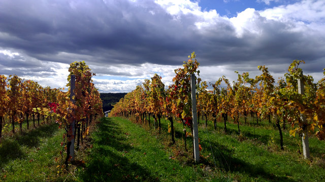 was sagt der Wetterbericht?