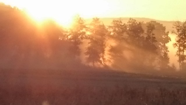 Früher Herbstmorgen