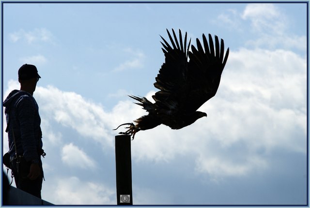 Die Lüfte sind sein Revier