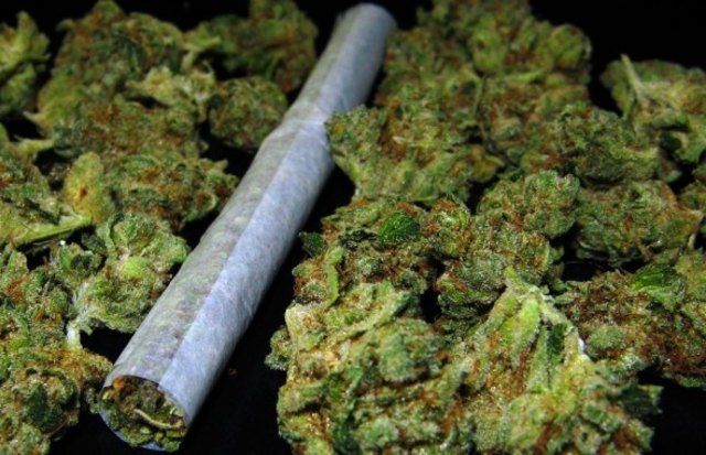 520 Gramm Marihuana brachten zwei Jugendliche am Bahnhofsgelände in Wieselburg in Umlauf.