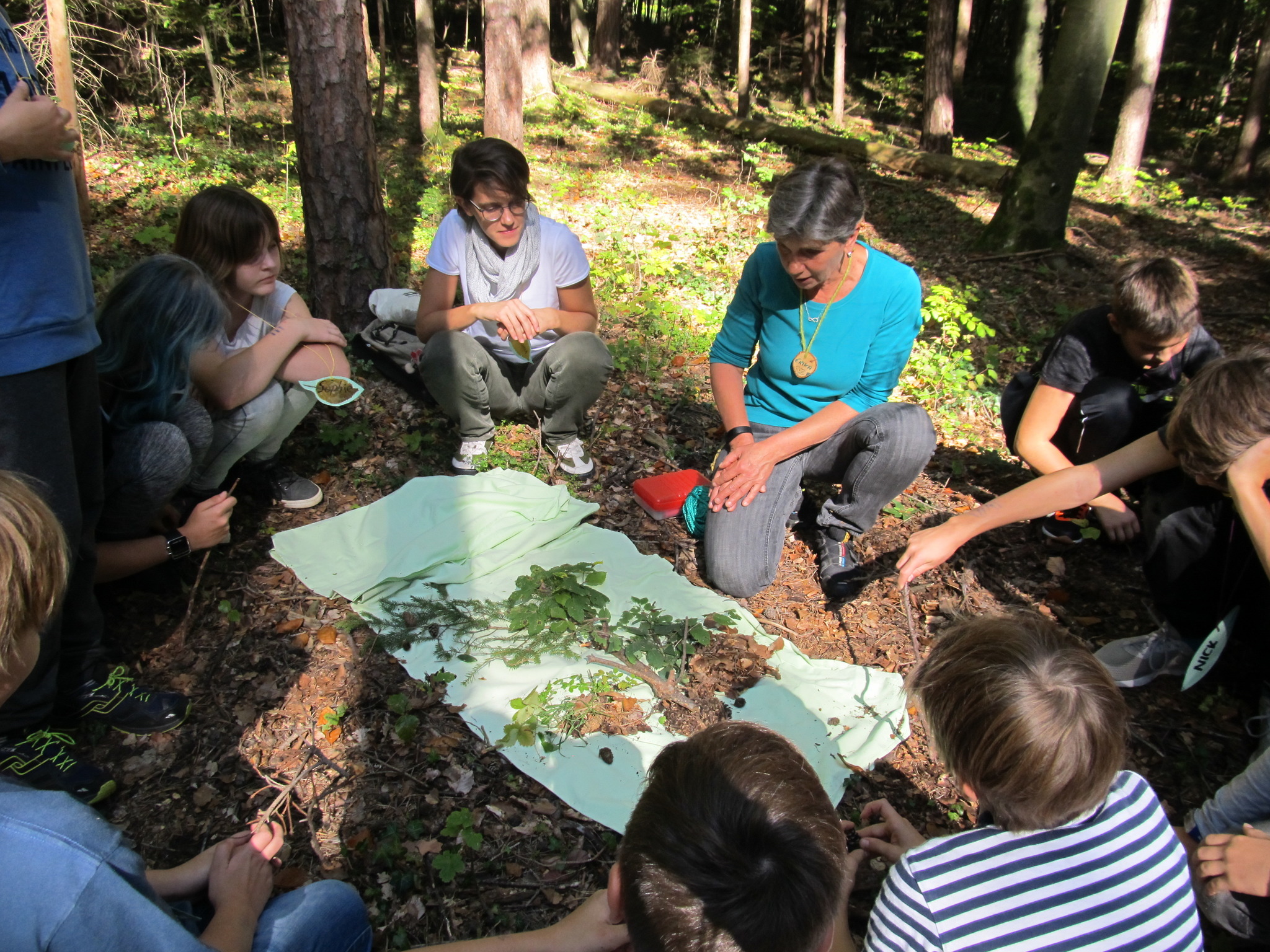 Erlebnisreiche Waldpädagogik - Weiz