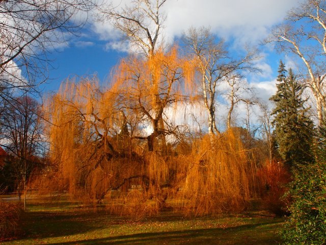 Ich liebe den Herbst