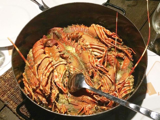 Ein spezielles Gericht - Riesengarnellen auf Lastovo! | Foto: YCBS / Christian Haidinger