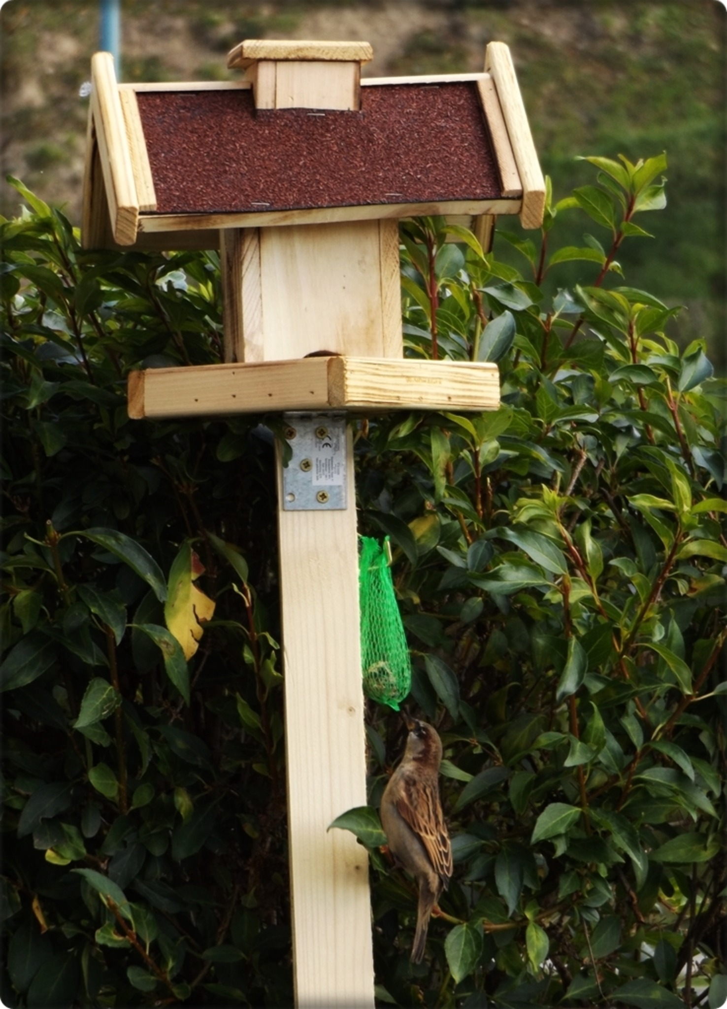 Futterstelle für Vögel St. Veit