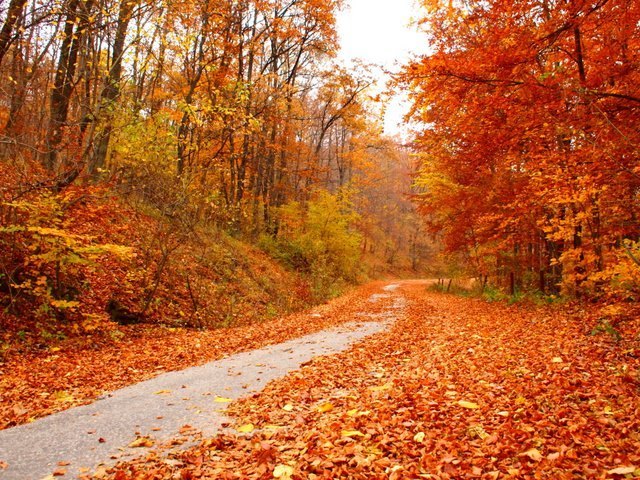 es gibt nichts Schonres