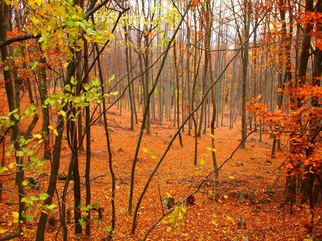 der Sommer ist vorbei