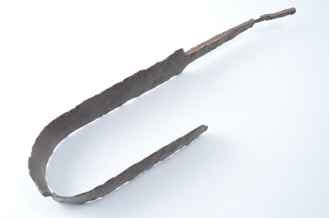 Foto: Landesarchäologie / Salzburg Museum