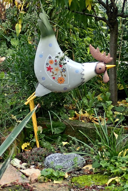 Ich weiß ja, dass krähende Hähne sich vorbeugen. Aber der Gockel hält ja den Schnabel - was will er uns mit seiner Pose sagen??