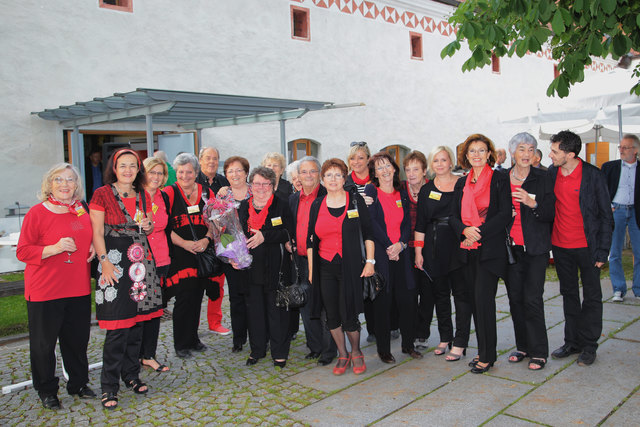 Die 1. Trauner Künstlergruppe stellt sich vor. | Foto: www.werfotografiert.at