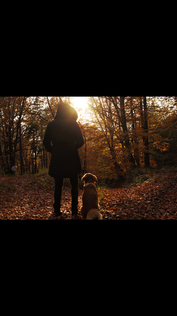 wunderschöner Herbstspaziergang