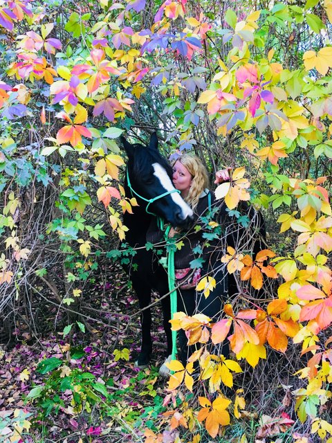 Zwischen den Blättern, die in den Farbtopf gefallen sind