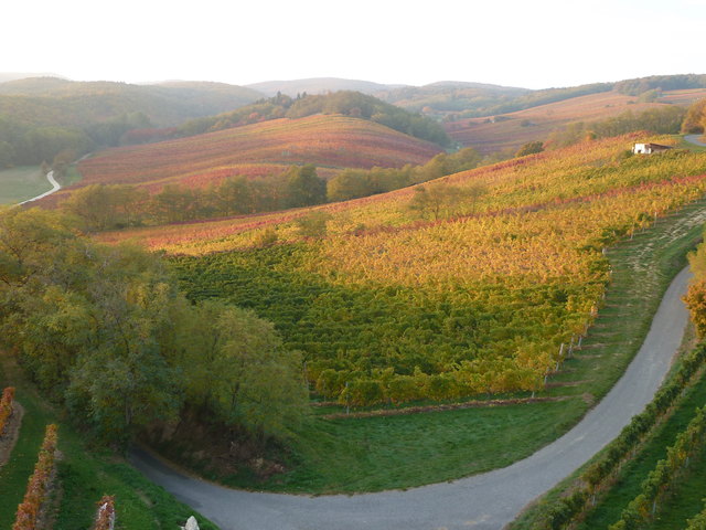 Wir haben den Himmel auf Erden
