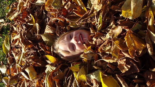 Kuschelig in den Blättern!!!