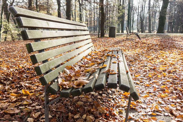 Foto. Evelyn Resch - Take a seat