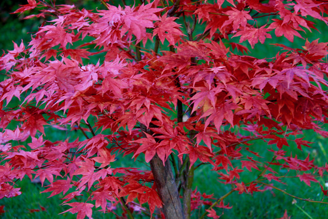 Foto: Evelyn Resch - Power-Blätter