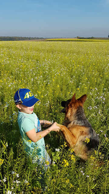 Nico Thaller, 7 Jahre, mit seiner Hündin Kora, Rohrbach b. Mattersburg