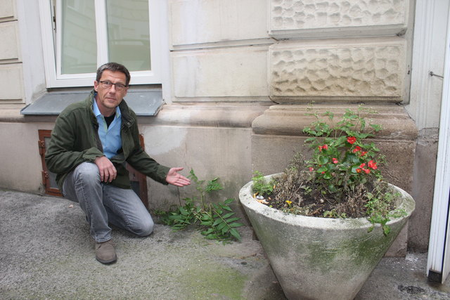 Grünen-Chef Christian Tesar möchte gerne die Fassade und die Innenhöfe der Bezirksvorstehung begrünen.