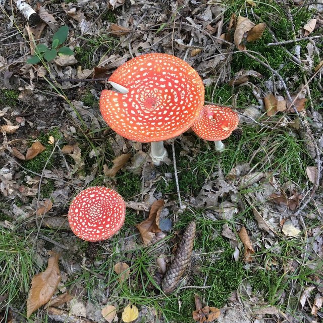 Gefährlicher, aber schöner Herbst!