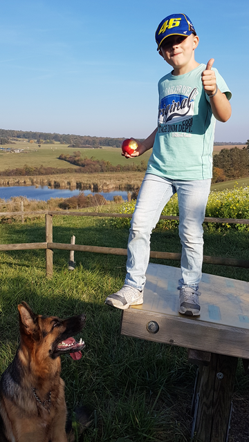 Nico Thaller, 7 Jahre, mit seiner Hündin Kora, Rohrbach b. Mattersburg