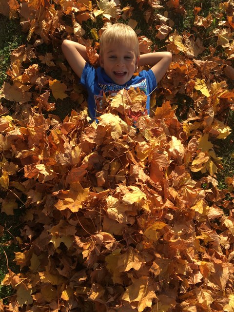 Samuel unter einer „kuscheligen“ Laubdecke