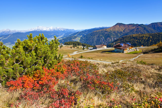 mit Blick zum Lackenkogel und Dachstein