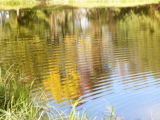 Wasserfarben des Fischteiches