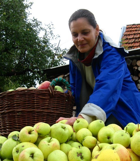 wenn der Winter fragt....
