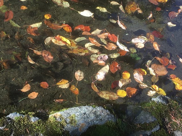 alles fließt oder vergeht