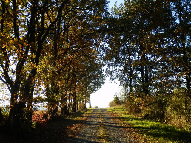 Dem Licht engegengehen