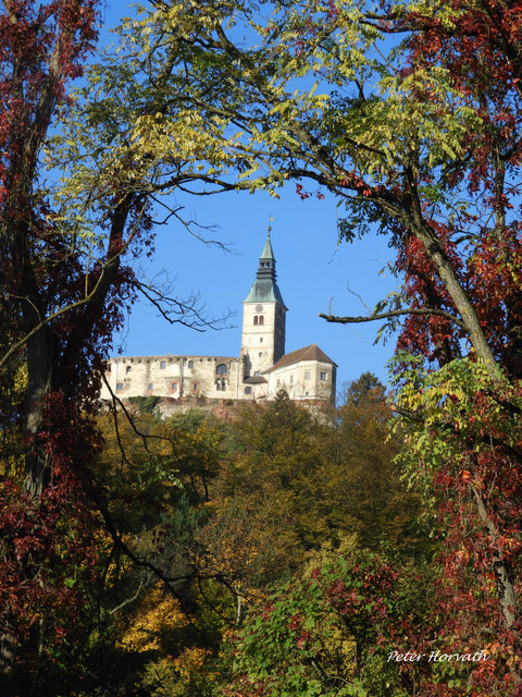 Herbstlich gerahmter Burgblick