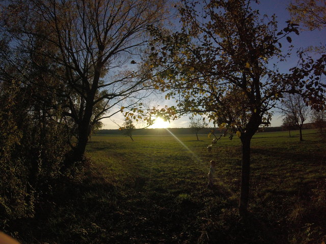 Zwerg läuft durchs Bild