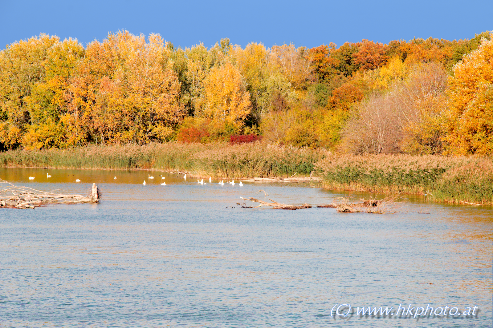 Bunte Farben entlang der Donau